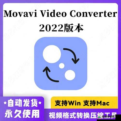 movavi video converter mac：视频格式转换的高效工具